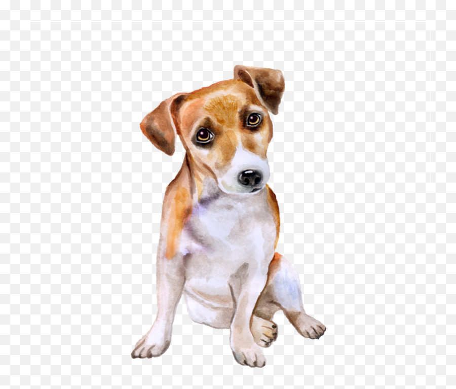 Jack Russell Terrier Corgi - Feist Emoji,Jack Russell Emoji