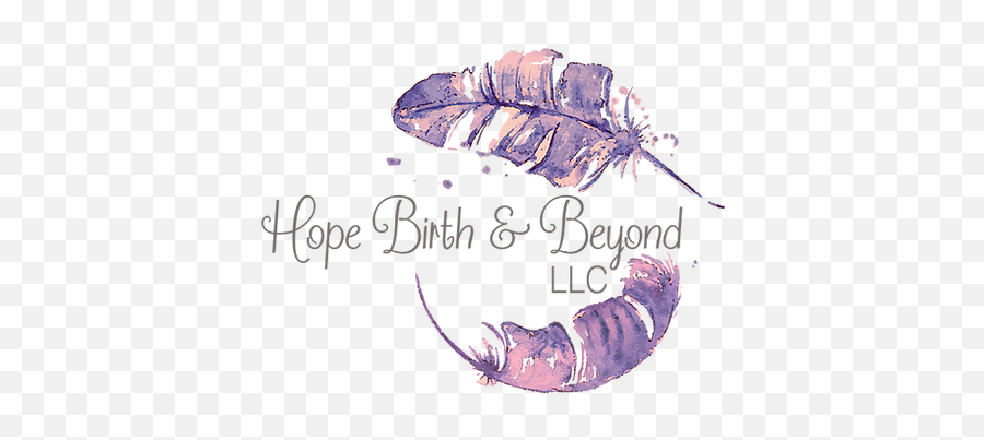 Services Cost Hope Birth Beyond Llc - Parasitism Emoji,Emotion Bowl Idaho Falls 2016