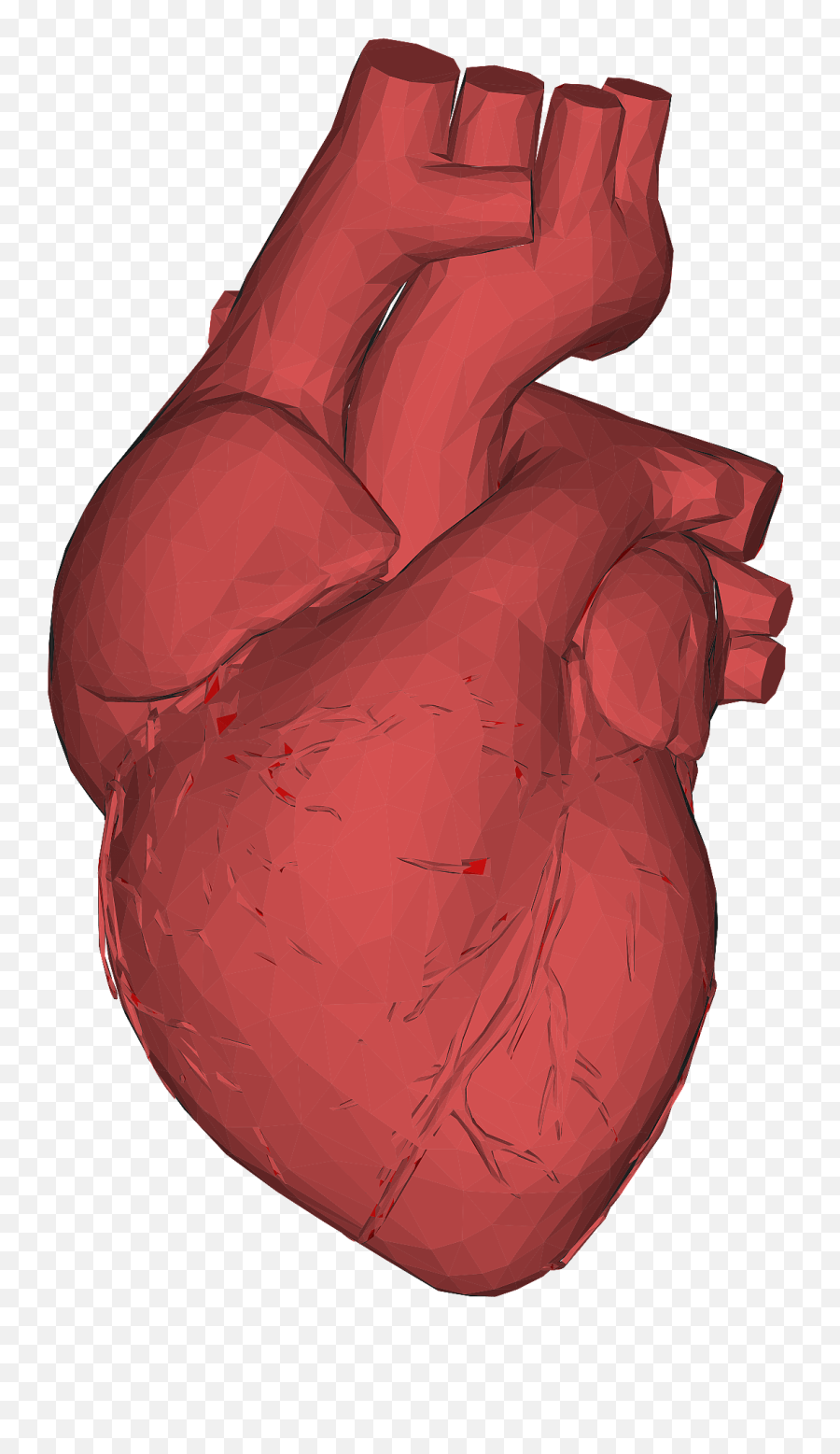 The Heart Of The Matter - Heart Anatomical Transparent Background Emoji,Valentines Day Emojis