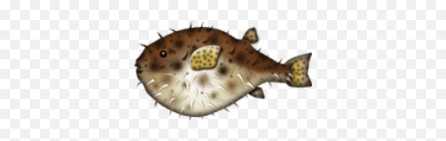 Download Free Png Ios - Blowfish Emoji,Pufferfish Emoji