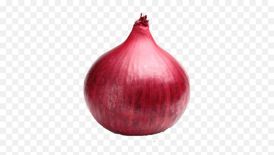 Red Onion Png File Png Svg Clip Art - Transparent Background Onion Png Emoji,Onions Emoji