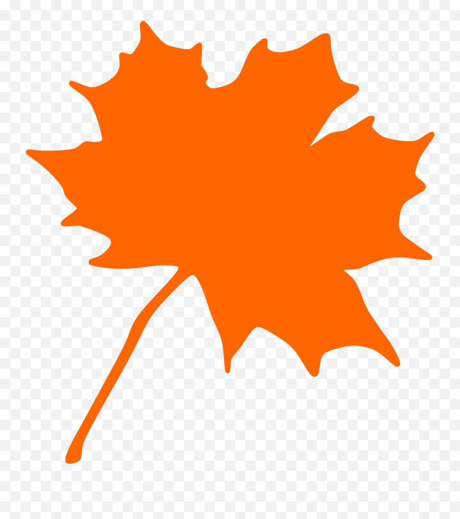 Maple Autumn Leaf Fall Canada - Autumn Leaf Vector Png Emoji,Fall Keaf Emoticon