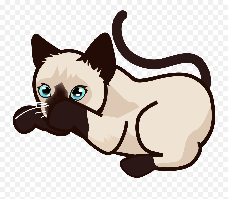 Filepeo - Siamese Kitten5svg Wikimedia Commons Cute Cat Siamese Png Emoji,Free Cute Kittenl Emoticons