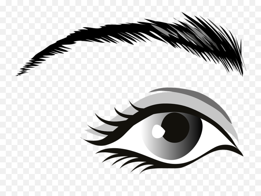 Free Photo Iris Eyebrows Grey Brows Eye - Eye Images Clipart Emoji,Eye Brows Showing Emotions