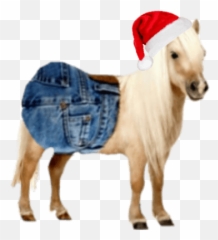 Custom Emoji List For Jortshorse - Dog Clothes,Waluigi Emoji