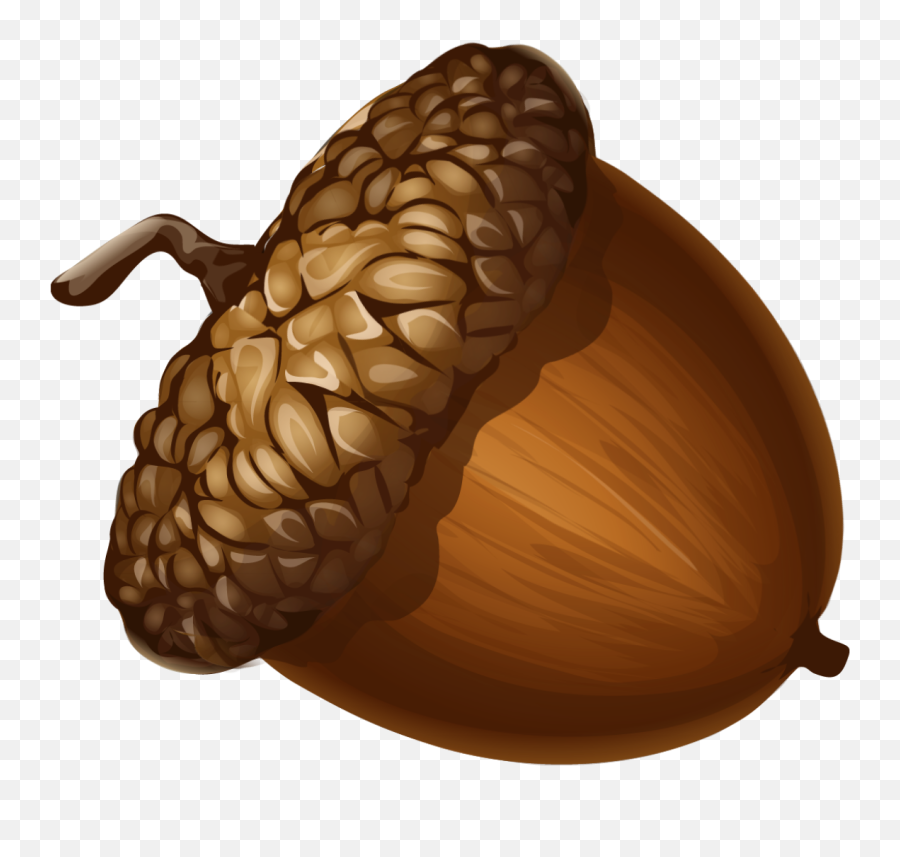 The Most Edited Acorn Picsart - Acorn Clipart Png Emoji,Brown Emoticon That Looks Like A Nut