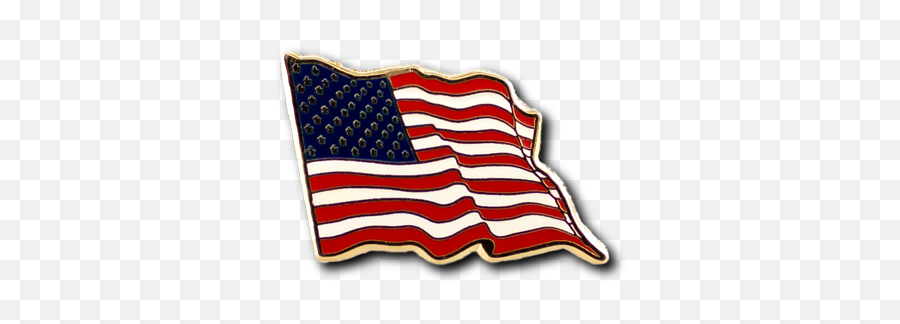 Shop Enamel Pins U0026 Accessories Pinprosplus Emoji,Veterns Ofled Flag Emoji