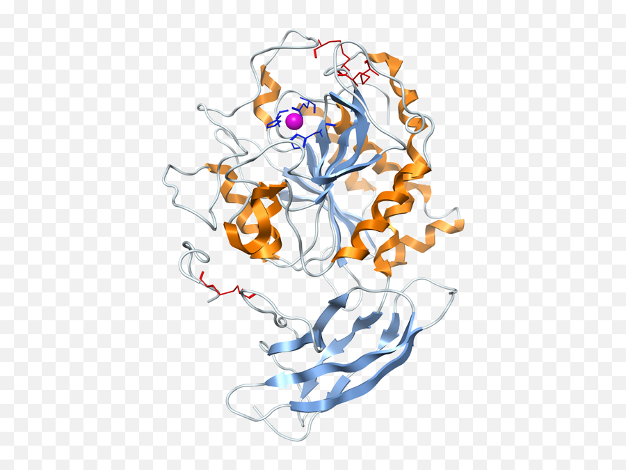 Cpm Carboxypeptidase M - Messy Emoji,Terminus Est Emojis