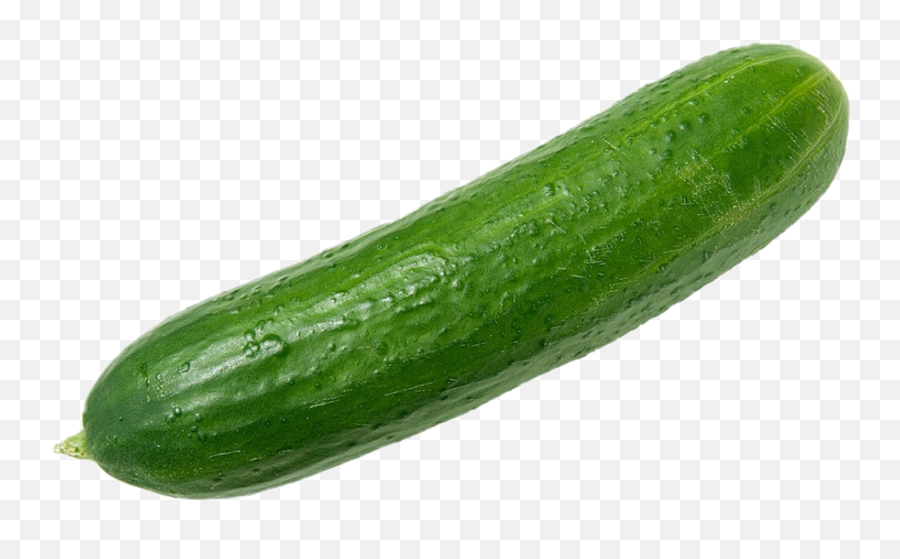 Cucumber Sticker - Transparent Background Cucumber Png Emoji,Cucumber Emoji