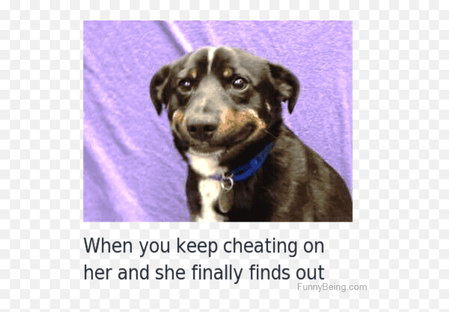 68 Very Superb Relationship Memes - Photo Caption Emoji,Meme, When You Want Him To Show Any Emotion 68 Very Superb Relationship Memes - Photo Caption Emoji,Meme, When You Want Him To Show Any Emotion