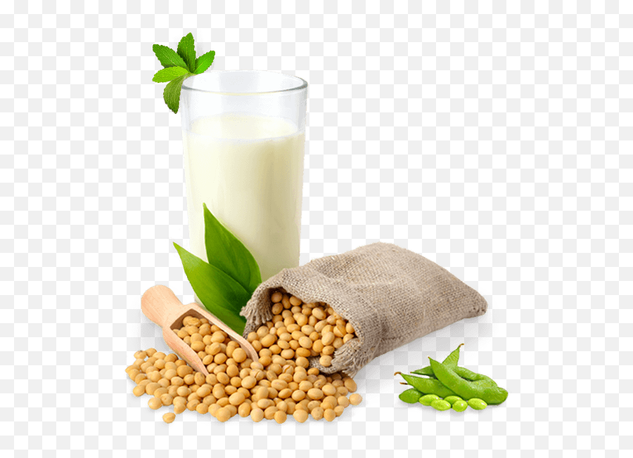 Soybean Png Free Image - Soy Png Clipart Full Size Clipart Soya Beans Png Emoji,Soy Sauce Emoji