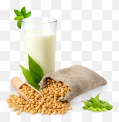 Soybean Png Free Image - Soy Png Clipart Full Size Clipart Soya Beans Png Emoji,Soy Sauce Emoji