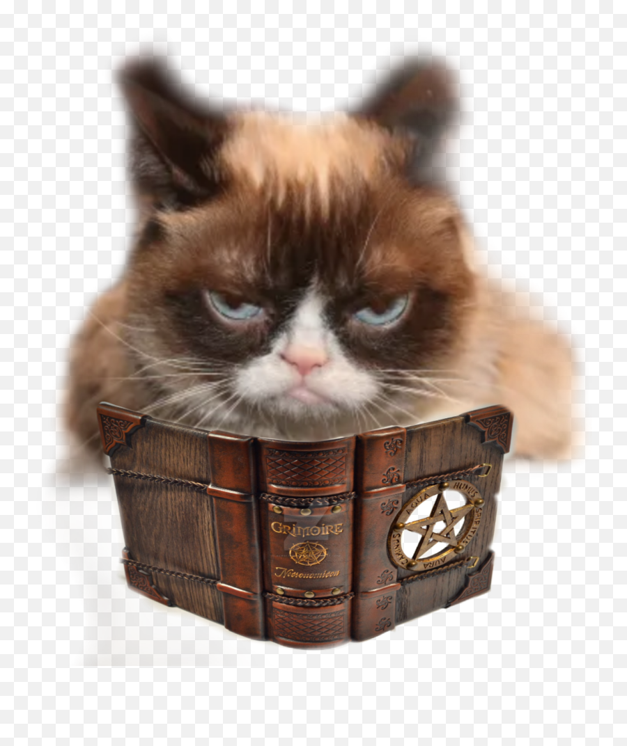 Bored Grumpy Cat Sticker By Nezaart - April Fools Day Memes 2021 Emoji,Grumpy Cat Emojis