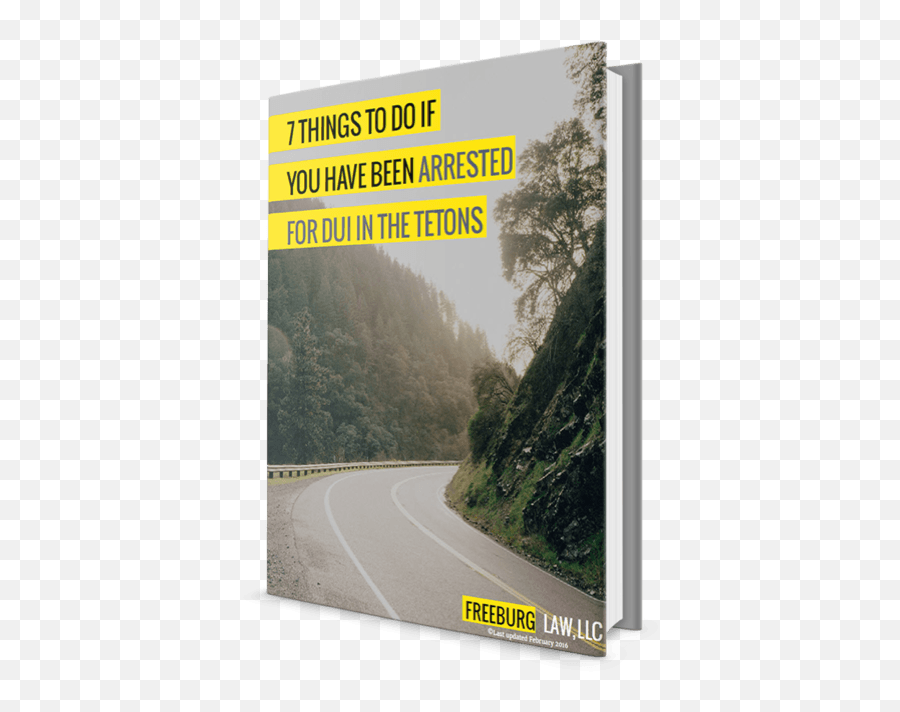 Defending Drinking Drivers Ebook - Natural Landscape Emoji,Aveo Gti Emotion 2010