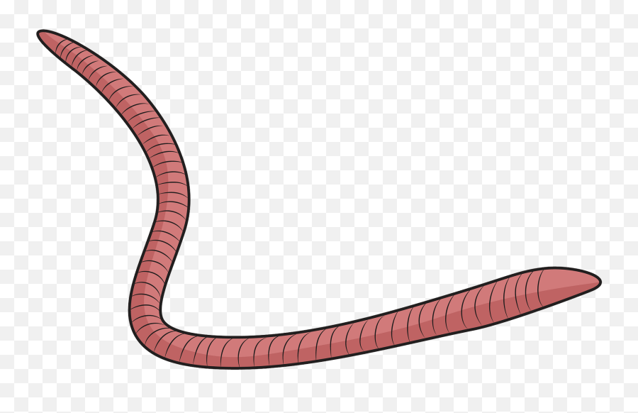 Red Wiggler Worm Clipart - Wurm Clipart Emoji,Earthworm Emoji
