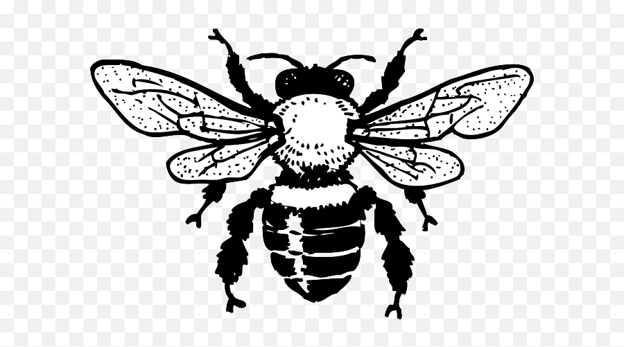 European Dark Bee Honey Bee Clip Art - Bee Silhouette Honey Bee Clip Art Emoji,Honey Bee Emoji