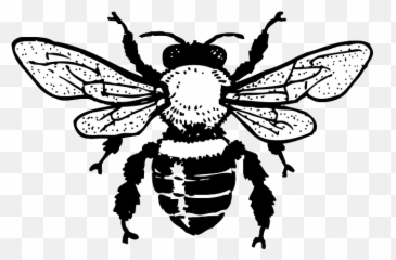 European Dark Bee Honey Bee Clip Art - Bee Silhouette Honey Bee Clip Art Emoji,Honey Bee Emoji