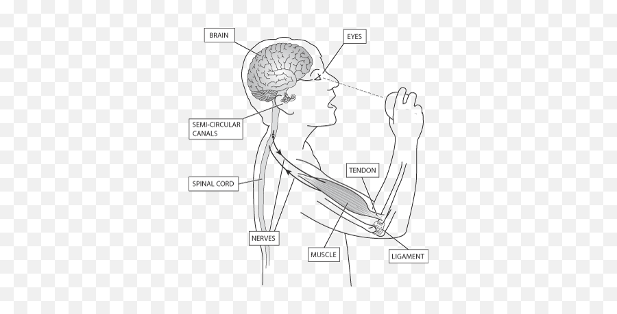 Children With Down Syndrome - Down Syndrome Brain Drawing Emoji,Pencil Drawings Of People Full Body Emotions For Kids